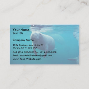 Carte De Visite Lamantin de la Floride