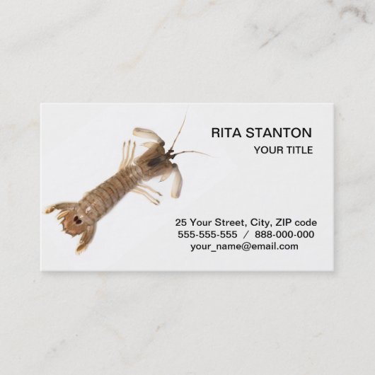 Carte De Visite Langoustine (Devant)
