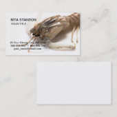 Carte De Visite Langoustine (Devant / Derrière)