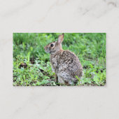 Carte De Visite Lapin (Dos)