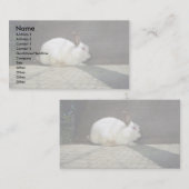 Carte De Visite Lapin (Devant / Derrière)