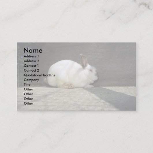 Carte De Visite Lapin (Devant)