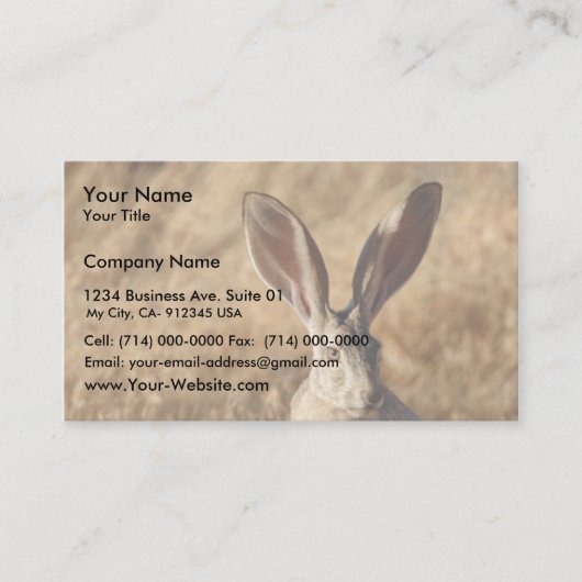 Carte De Visite Lapin à queue noire (Devant)