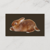 Carte De Visite Lapin Brown (Dos)