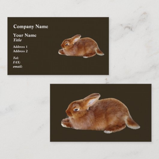 Carte De Visite Lapin Brown (Devant / Derrière)
