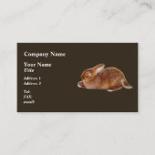 Carte De Visite Lapin Brown (Devant)