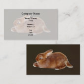 Carte De Visite Lapin Brown (Devant / Derrière)