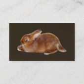 Carte De Visite Lapin Brown (Dos)