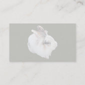 Carte De Visite Lapin Lionhead tricolore (Dos)