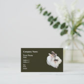 Carte De Visite Lapin Lionhead tricolore (Debout devant)