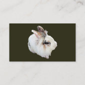 Carte De Visite Lapin Lionhead tricolore (Dos)