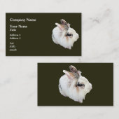 Carte De Visite Lapin Lionhead tricolore (Devant / Derrière)