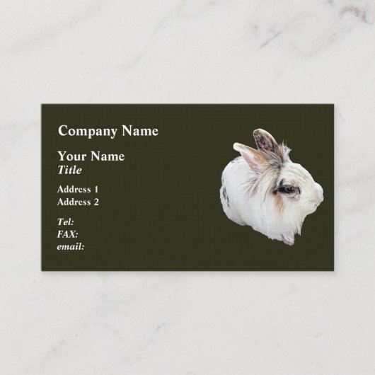 Carte De Visite Lapin Lionhead tricolore (Devant)