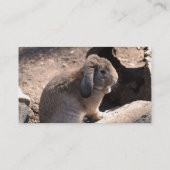 Carte De Visite Lapin mignon (Dos)