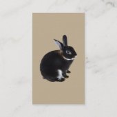 Carte De Visite Lapin Mini Rex Brown foncé et blanc (Dos)