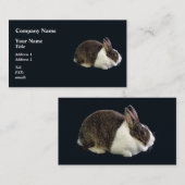 Carte De Visite Lapin néerlandais Brown et blanc (Devant / Derrière)