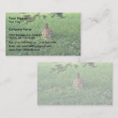 Carte De Visite Lapin oriental (Devant / Derrière)