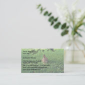 Carte De Visite Lapin oriental (Debout devant)