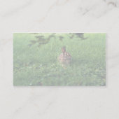 Carte De Visite Lapin oriental (Dos)