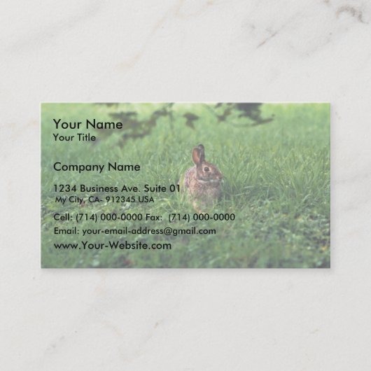 Carte De Visite Lapin oriental (Devant)