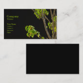 Carte De Visite L'arbre (Devant / Derrière)