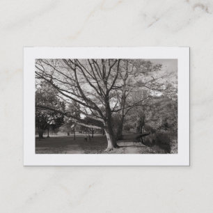 Carte De Visite L'automne dans le parc (borduré)