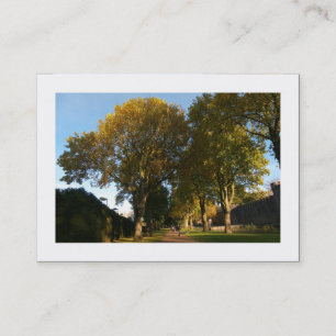 Carte De Visite L'automne dans le parc (borduré)