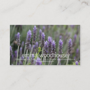 Carte De Visite Lavendar pourpre
