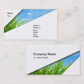 Carte De Visite Lawncare (Devant / Derrière)