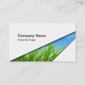 Carte De Visite Lawncare (Dos)