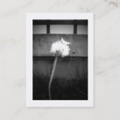 Carte De Visite Le baiser de l'ange (Dos)