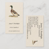 Carte De Visite Le canard colvert ou sauvage (Anas platyrhynchos) (Devant / Derrière)