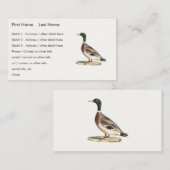 Carte De Visite Le canard colvert ou sauvage (Anas platyrhynchos) (Devant / Derrière)