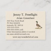 Carte De Visite Le canard colvert ou sauvage (Anas platyrhynchos) (Dos)