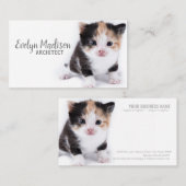 Carte De Visite Le Chat Sur Le Blanc (Devant / Derrière)