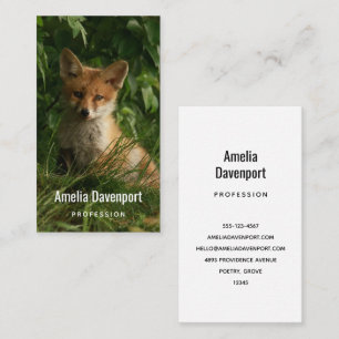 Carte De Visite Le chou renard dans une forêt verte