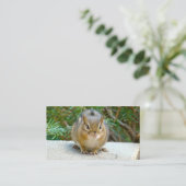 Carte De Visite Le Cute Chipmunk A L'Oeil Sur Vous (Debout devant)