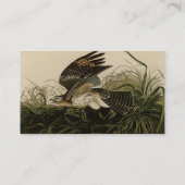 Carte De Visite Le faucon d'hiver, les oiseaux d'Amérique de John (Dos)