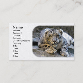 Carte De Visite Le léopard des neiges le félin phare