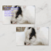 Carte De Visite Le Manoir de La Mancha (Devant / Derrière)