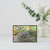Carte De Visite Le nid vide (Debout devant)