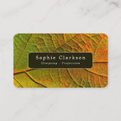 Carte De Visite Leaf Veins, Rustic (Devant)