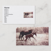 Carte De Visite Leap For Joy Foal and Mare (Devant / Derrière)