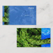 Carte De Visite L'eau et herbe - affaires (Devant / Derrière)