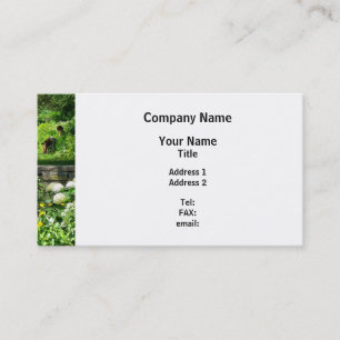 Carte De Visite Lecture dans le jardin