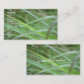 Carte De Visite L'épisode de la nature (Devant / Derrière)