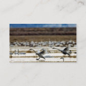 Carte De Visite Les cygnes à Klamath (Dos)