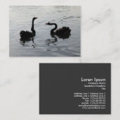 Carte De Visite Les cygnes noirs saluent (Devant / Derrière)
