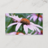 Carte De Visite Les Échinacées Dans La Poitrine (Dos)