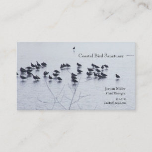 Carte De Visite Les oiseaux de rivage sur un lac